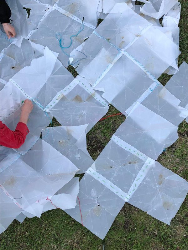 Paper squares laid out on the grass