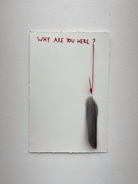 A feather hanging from a red thread under the words “Why are you here?”