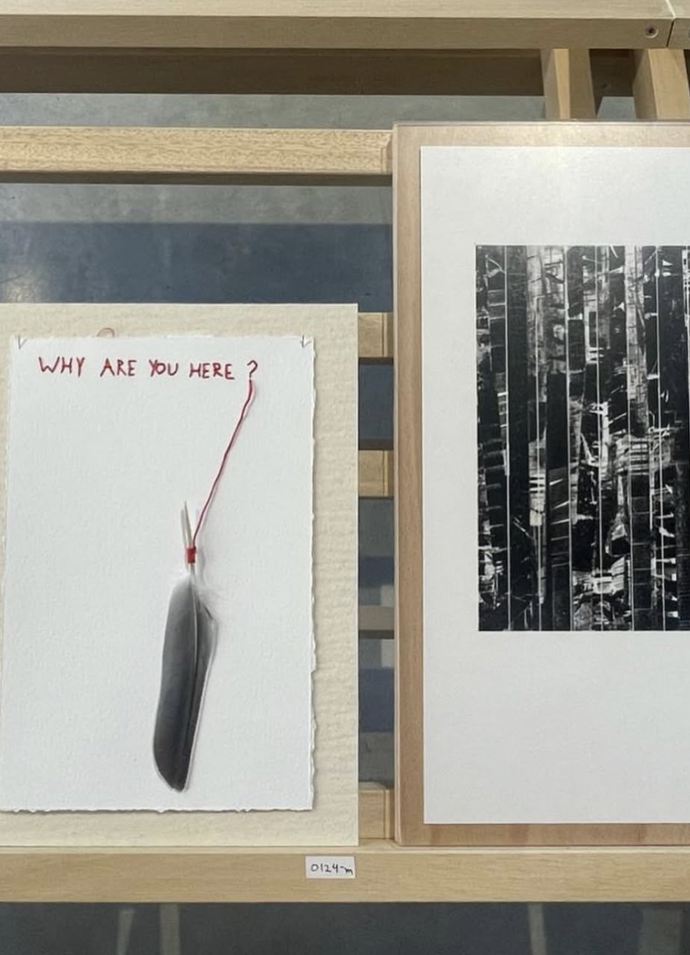 The feather artwork with the question ‘Why are you here?’ beside a black and white print