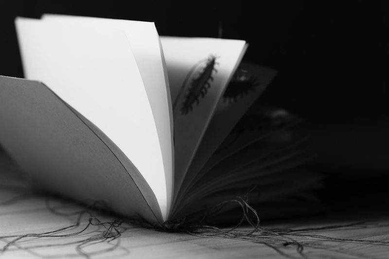 The artist book, pages fanned open